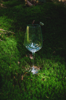 Éclat Bundle (5 pcs)